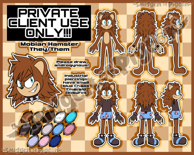 Sonic OC